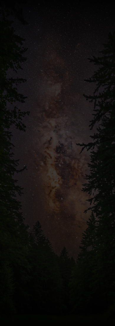 背景画像